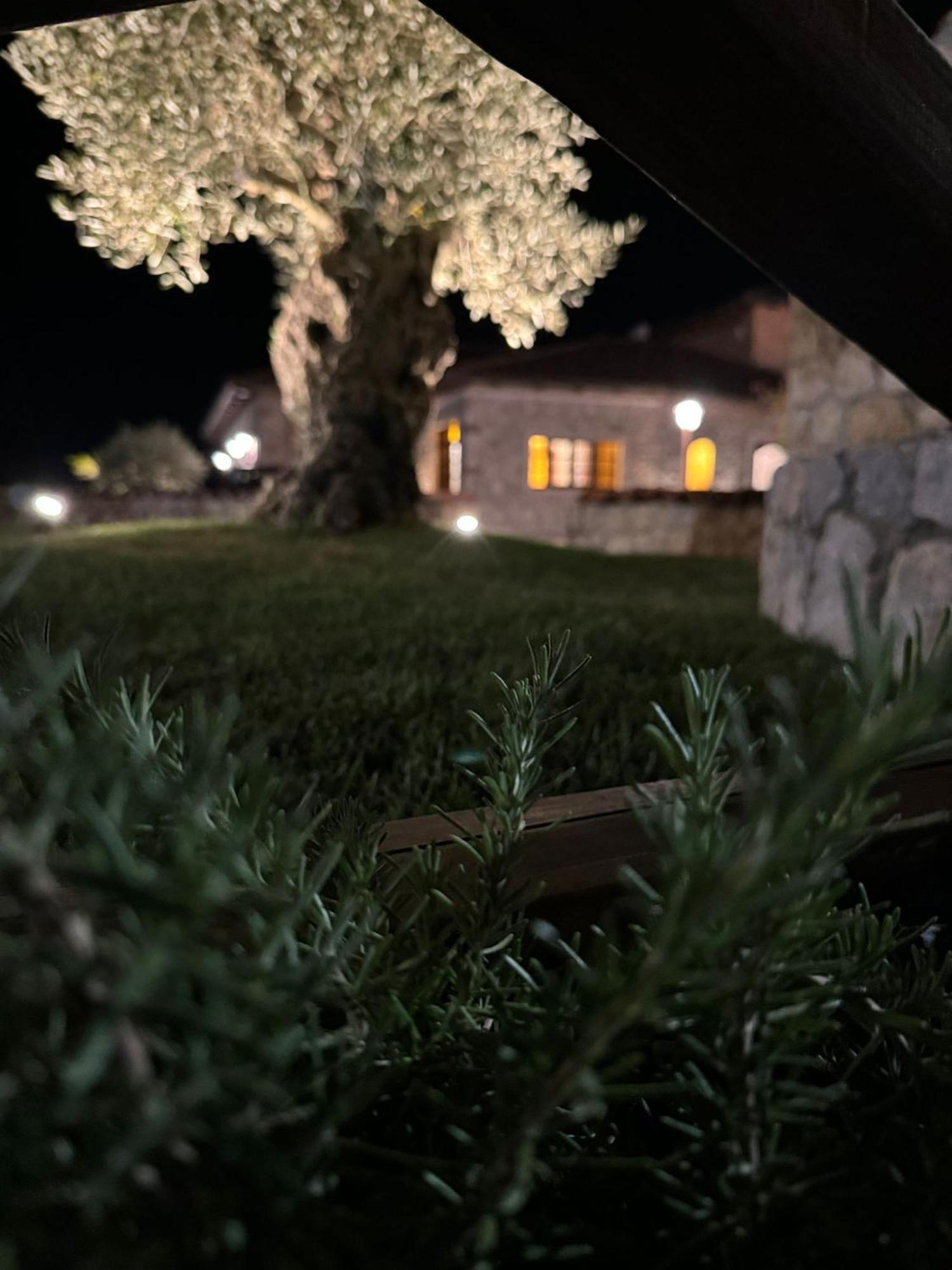 Tenuta Rosa - Gastronomia E Relax Montesano Scalo Exterior foto
